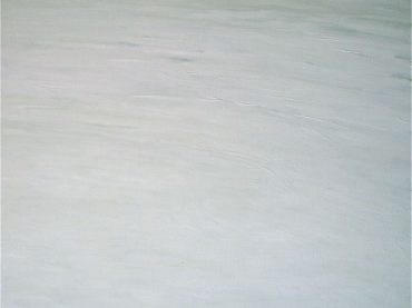 “Riverbank”, 80 x 90 cm, oil on canvas, 2009