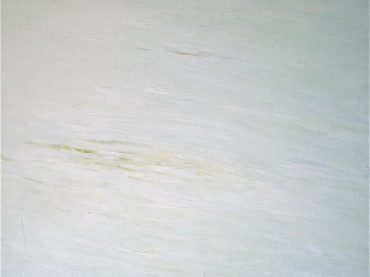 “Riverbank”, 80 x 90 cm, oil on canvas, 2009