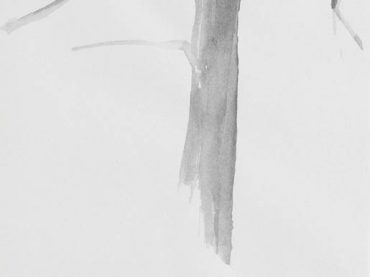 “Tree”, 25 x 20 cm, pencil & ink on paper, 2006