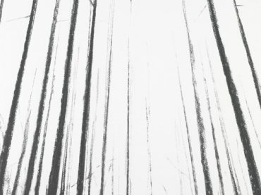 “Woods”, 75 x 55 cm, charcoal on paper, 2007 (coll. Flemish Parliament)